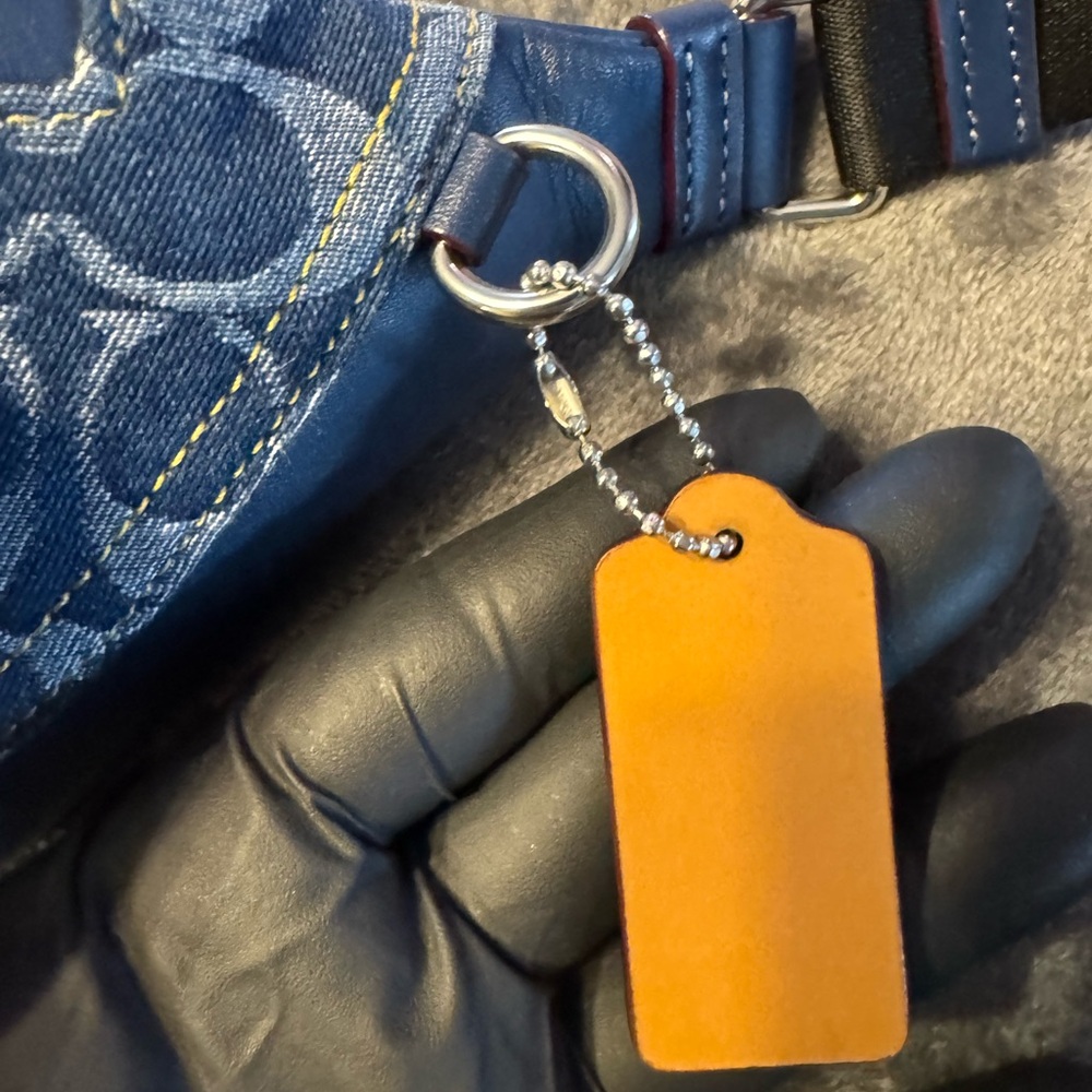 Warren Mini Belt Bag 2024 - Picture 9 of 10